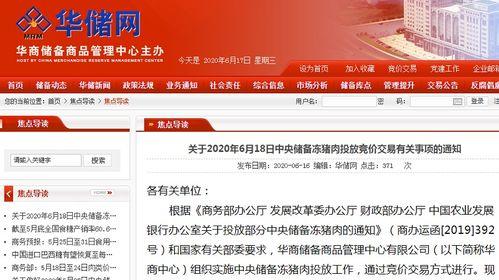 深圳小洋最近爆料新闻,最新热点事件深度解析